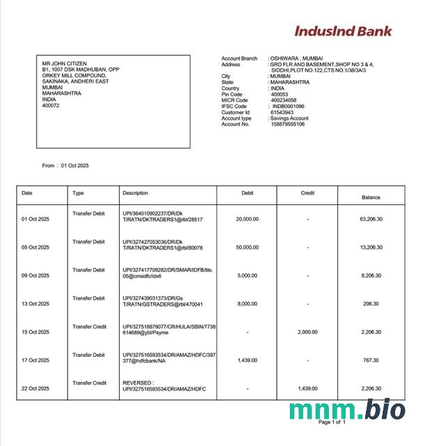 India IDFC First Bank Limited konto statement Word i szablon PDF, 2 strony